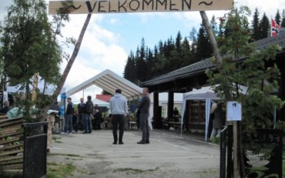 Flott avviklet Leirskogsdag