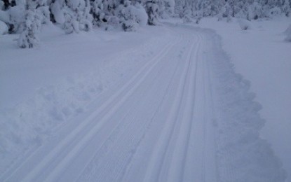 Flotte skiløyper på Leirskogen
