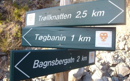 Folkehelse-koordinatoren orienterer