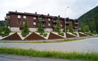 Medlem av Bagn Vel?