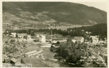 Bøker og bilder på nett