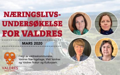 Resultat fra næringslivs-undersøkelsen